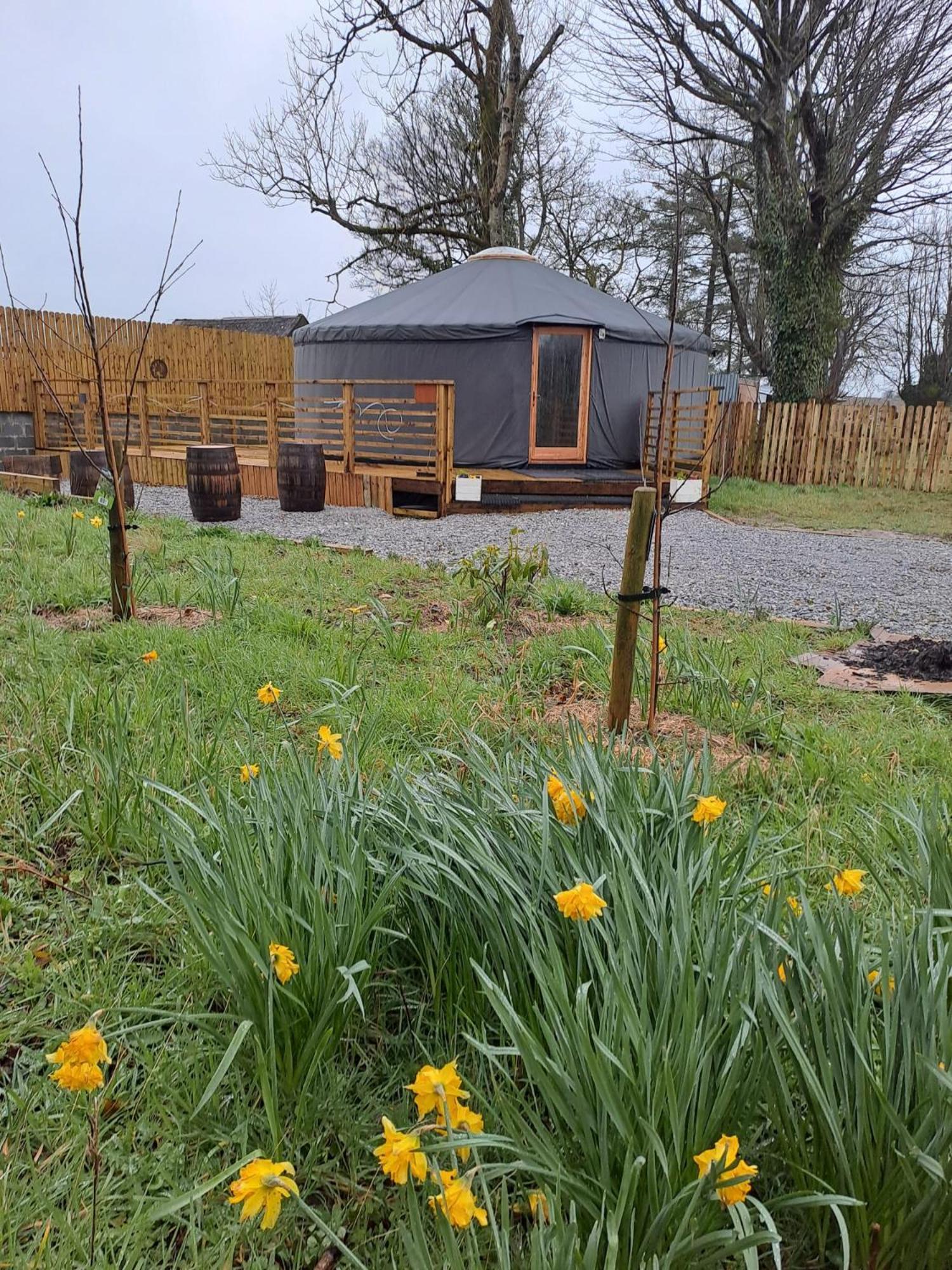 The Snowdrop Hotel Galway Exterior photo